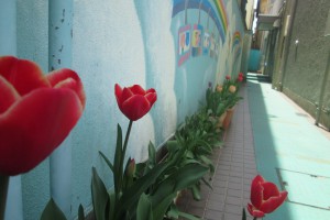 チューリップのみち