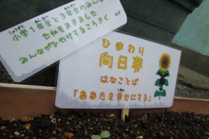 ひまわりのたてかん